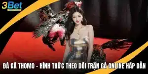 Đá Gà Thomo - Hình Thức Theo Dõi Trận Gà Online Hấp Dẫn