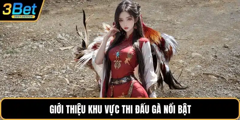 Giới thiệu khu vực thi đấu gà nổi bật