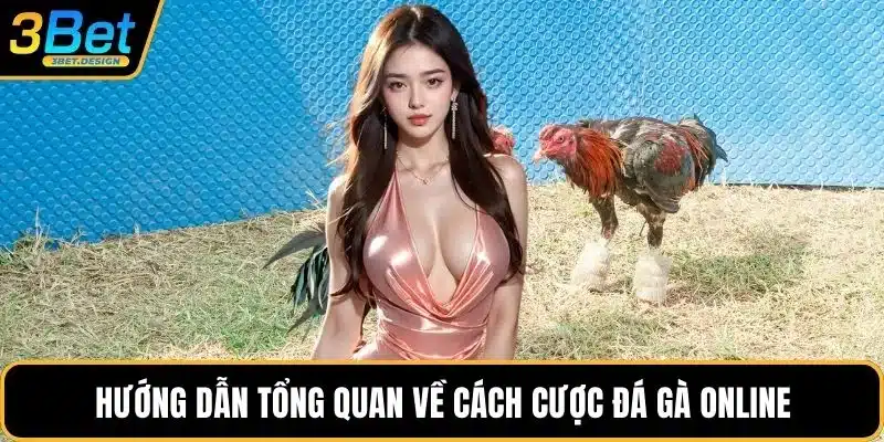 Hướng dẫn tổng quan về cách cược đá gà online