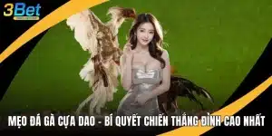 Mẹo Đá Gà Cựa Dao - Bí Quyết Chiến Thắng Đỉnh Cao Nhất