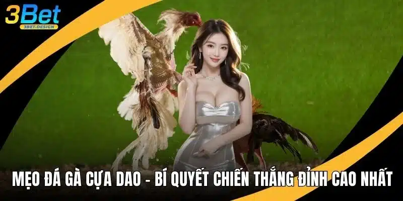 Mẹo Đá Gà Cựa Dao - Bí Quyết Chiến Thắng Đỉnh Cao Nhất