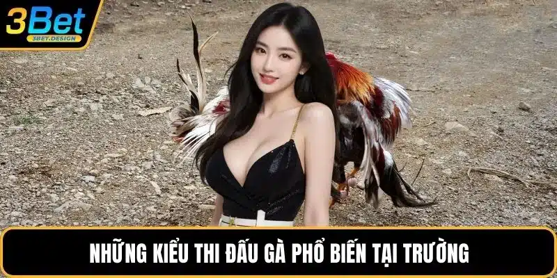 Những kiểu thi đấu gà phổ biến tại trường