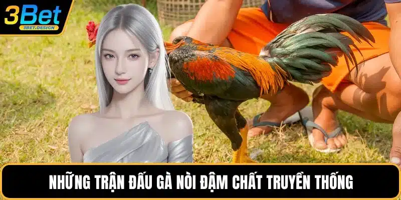 Những trận đấu gà nòi đậm chất truyền thống