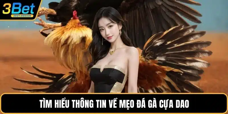 Tìm hiểu thông tin về mẹo đá gà cựa dao