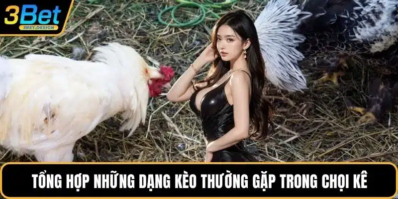 Tổng hợp những dạng kèo thường gặp trong chọi kê